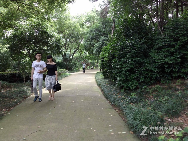 #乐无止镜X5Pro，最美的春季出行# 中国茶花文化园/浙中乐园/万达广场掠影