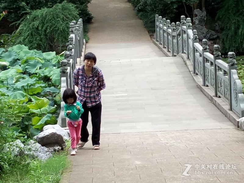 #乐无止镜X5Pro，最美的春季出行# 中国茶花文化园/浙中乐园/万达广场掠影