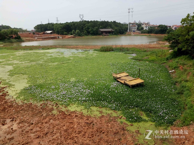 #乐无止镜X5Pro，最美的春季出行# 中国茶花文化园/浙中乐园/万达广场掠影