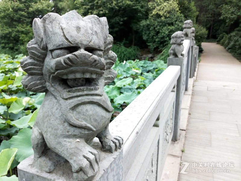 #乐无止镜X5Pro，最美的春季出行# 中国茶花文化园/浙中乐园/万达广场掠影