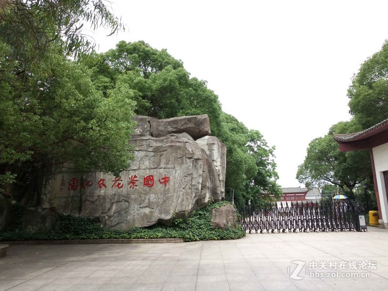 #乐无止镜X5Pro，最美的春季出行# 中国茶花文化园/浙中乐园/万达广场掠影