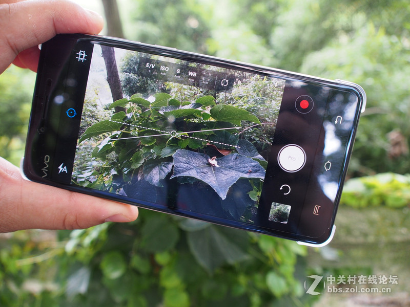 #乐无止镜X5Pro，最美的春季出行# 中国茶花文化园/浙中乐园/万达广场掠影