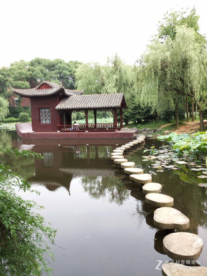 #乐无止镜X5Pro，最美的春季出行# 中国茶花文化园/浙中乐园/万达广场掠影