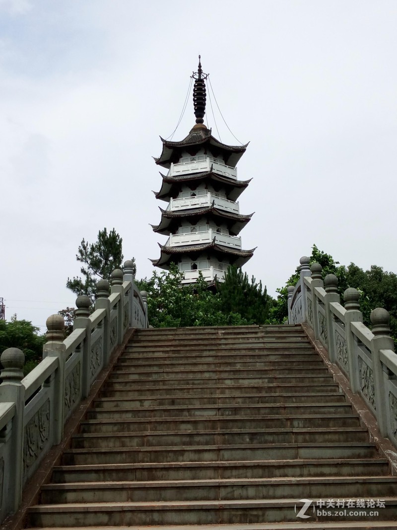 #乐无止镜X5Pro，最美的春季出行# 中国茶花文化园/浙中乐园/万达广场掠影