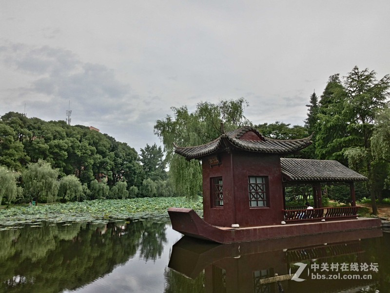 #乐无止镜X5Pro，最美的春季出行# 中国茶花文化园/浙中乐园/万达广场掠影