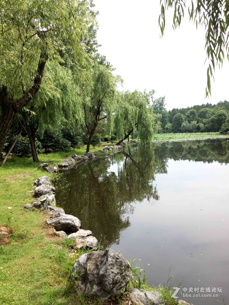 #乐无止镜X5Pro，最美的春季出行# 中国茶花文化园/浙中乐园/万达广场掠影