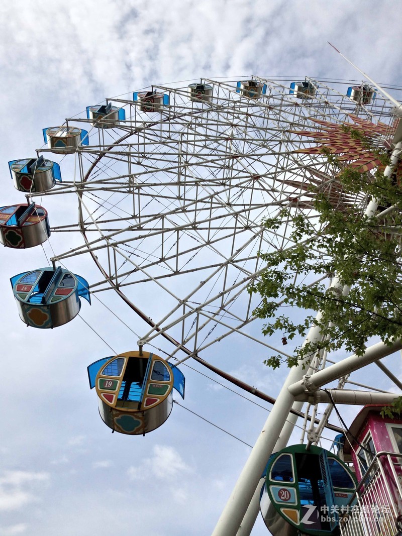 #乐无止镜X5Pro，最美的春季出行# 中国茶花文化园/浙中乐园/万达广场掠影