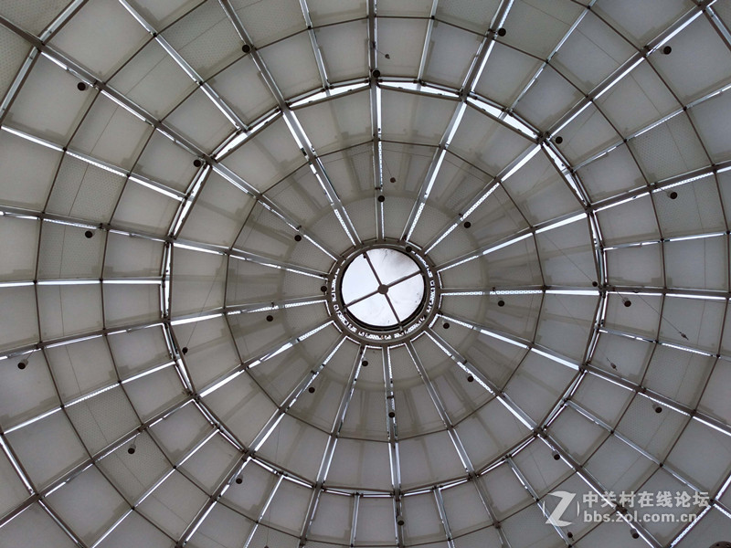 #乐无止镜X5Pro，最美的春季出行# 中国茶花文化园/浙中乐园/万达广场掠影