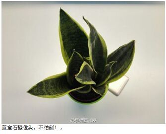 辟谣：谁说荣耀7发布会推迟的？出来保证不打你