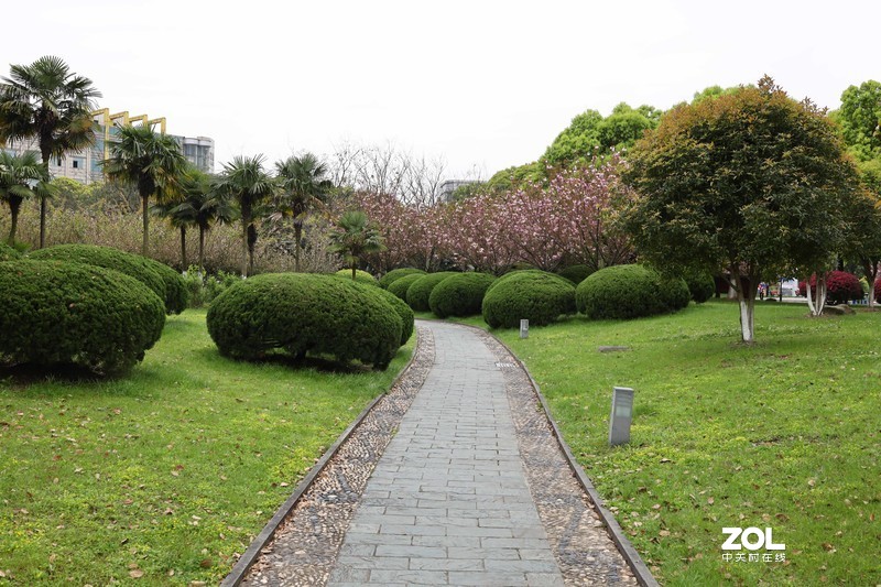 4月初春游览人民公园, 一路繁花相送