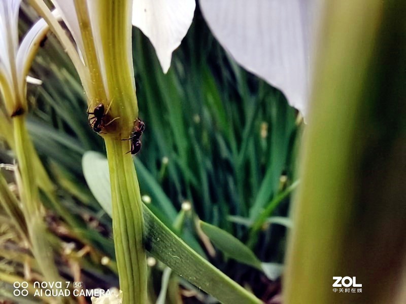 夜空中最明亮的“新星”—华为nova 7 5G初体验