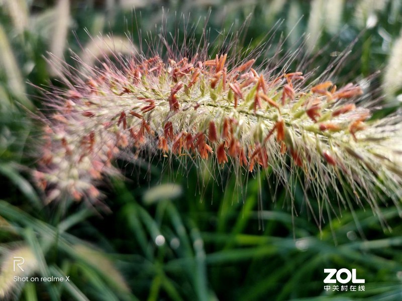 配置高端，凭实力搅局---“敢越级”的手机realme X体验