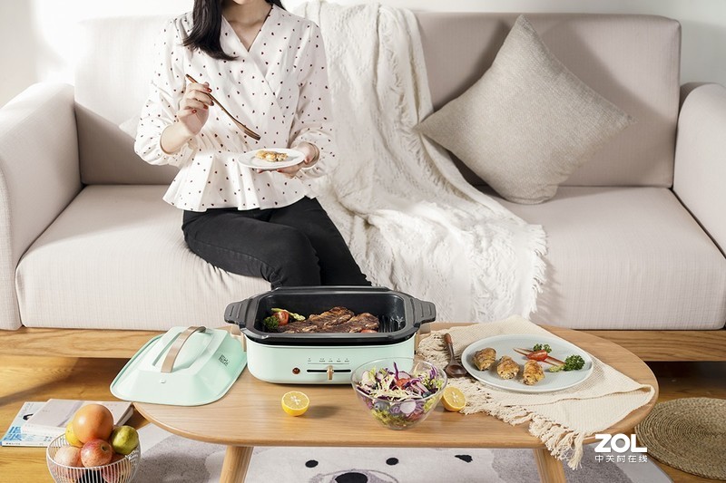 多功能料理锅哪个牌子好