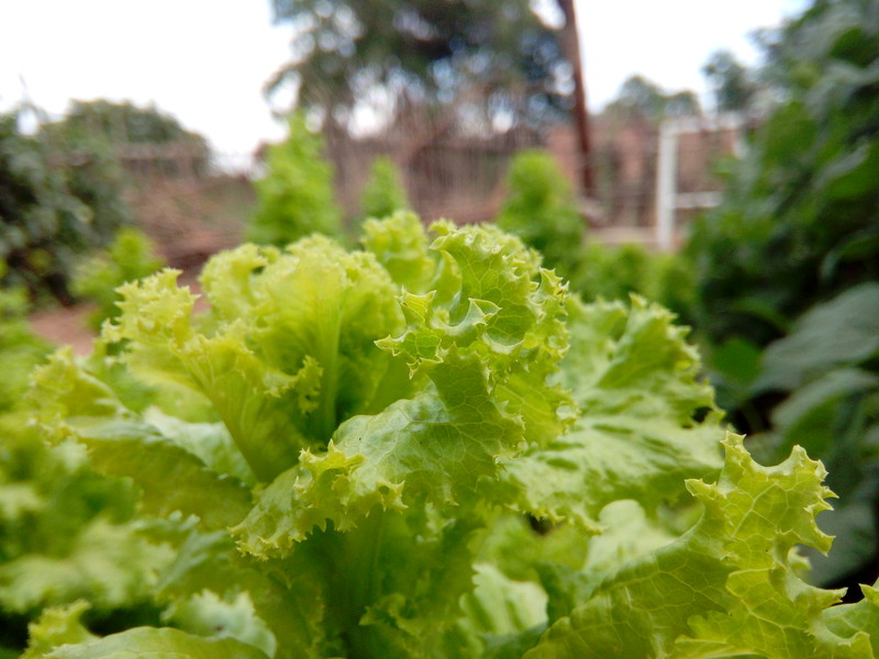 【koobee S3--青春优品智能】双微信 遥控精灵 健康中心 智能辅助 dido OS 5.2体验等