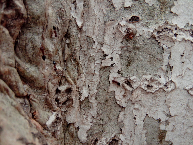 【koobee S3--青春优品智能】双微信 遥控精灵 健康中心 智能辅助 dido OS 5.2体验等