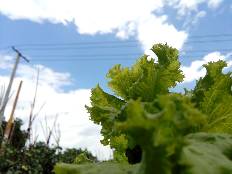 【koobee S3--青春优品智能】双微信 遥控精灵 健康中心 智能辅助 dido OS 5.2体验等