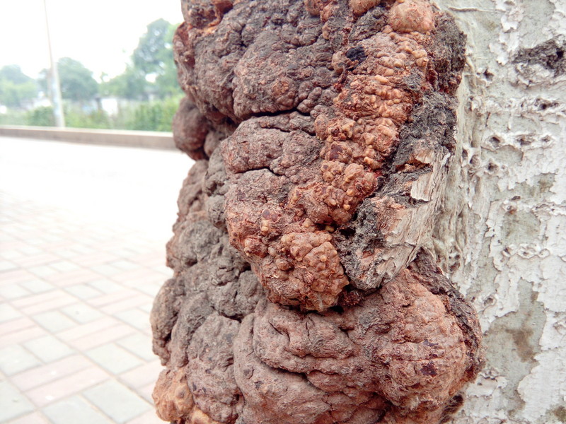 【koobee S3--青春优品智能】双微信 遥控精灵 健康中心 智能辅助 dido OS 5.2体验等