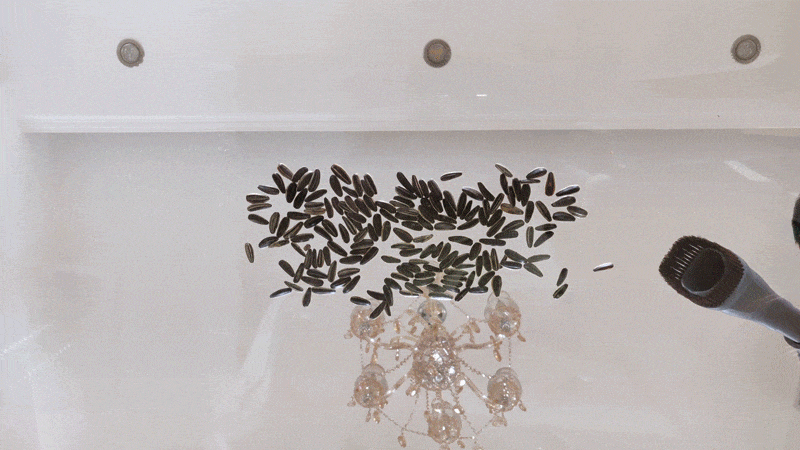 让男人也爱上了快乐清洁——莱克魔洁M85 Plus 立式|手持无线吸尘器新玩法（视频）