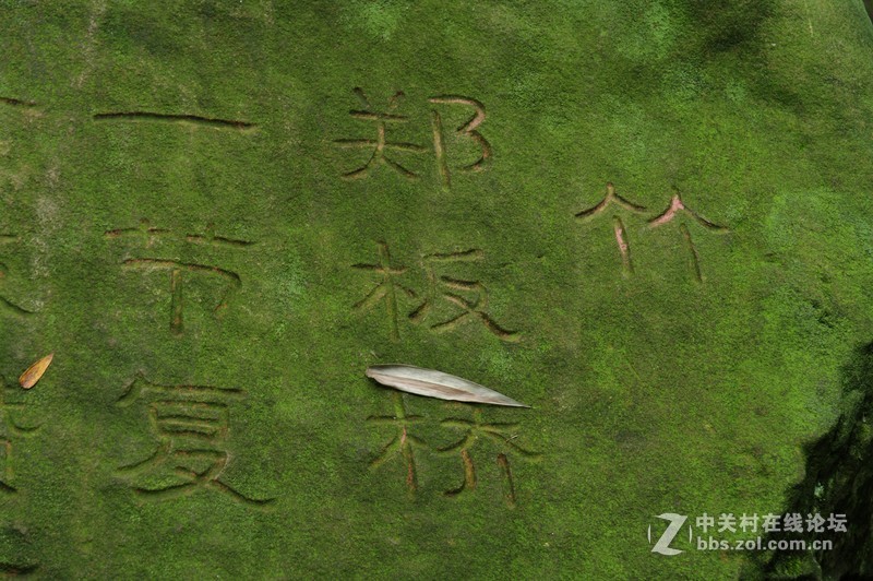 一个人的山 让心更静  (理光28-110 f2.8-f4)