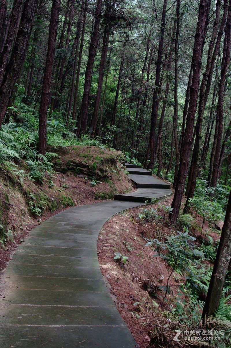 一个人的山 让心更静  (理光28-110 f2.8-f4)