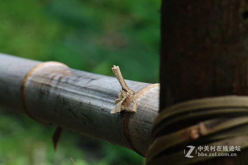 一个人的山 让心更静  (理光28-110 f2.8-f4)