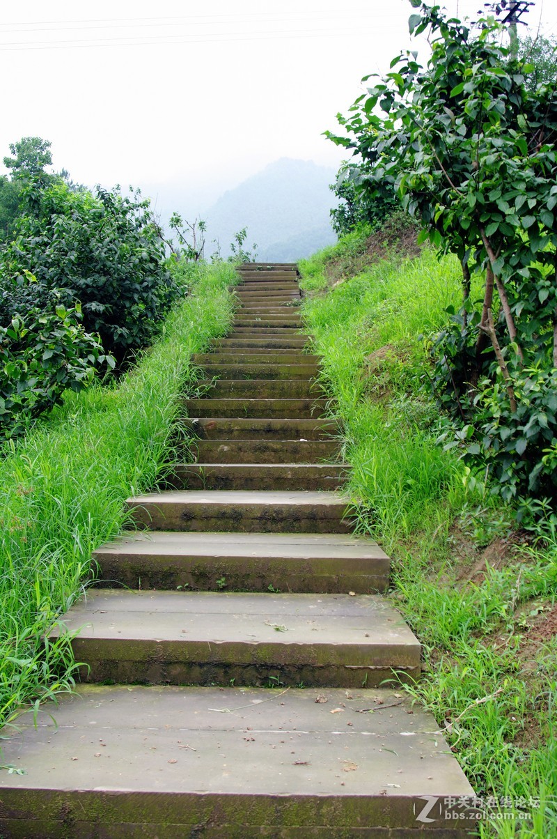 一个人的山 让心更静  (理光28-110 f2.8-f4)