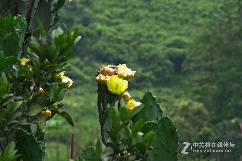 一个人的山 让心更静  (理光28-110 f2.8-f4)