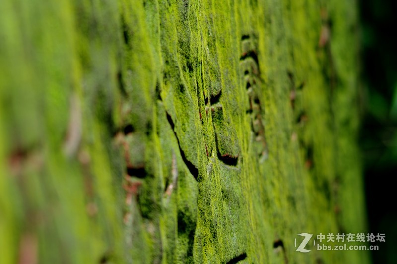 一个人的山 让心更静  (理光28-110 f2.8-f4)