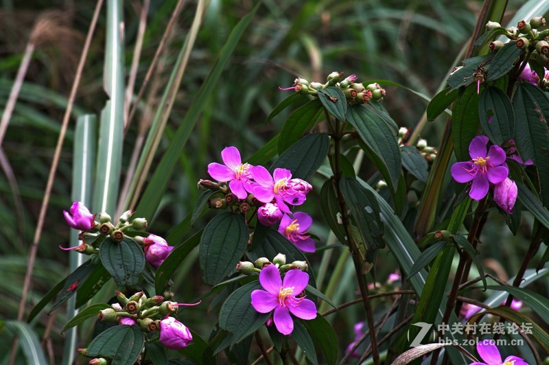一个人的山 让心更静  (理光28-110 f2.8-f4)