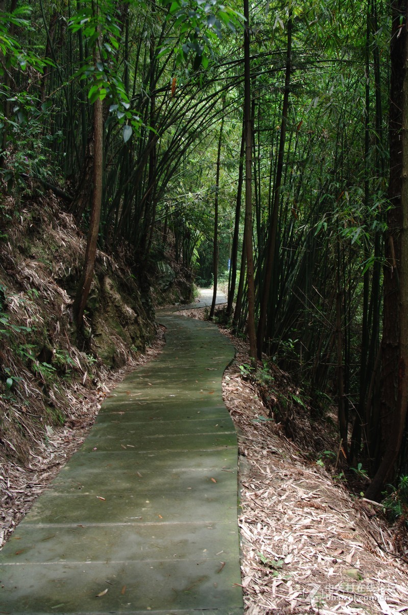 一个人的山 让心更静  (理光28-110 f2.8-f4)