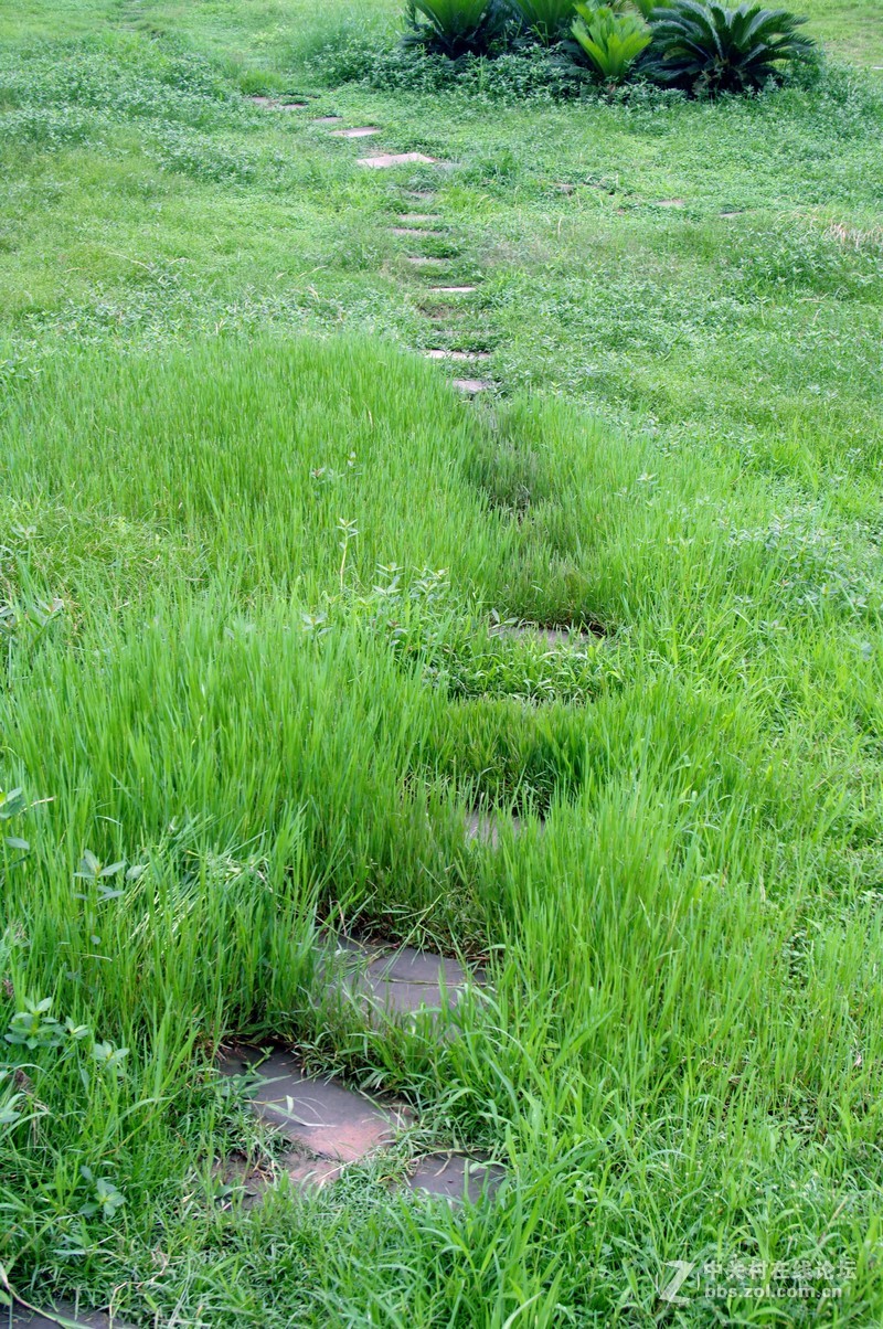 一个人的山 让心更静  (理光28-110 f2.8-f4)