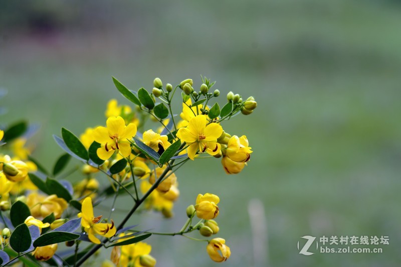 一个人的山 让心更静  (理光28-110 f2.8-f4)