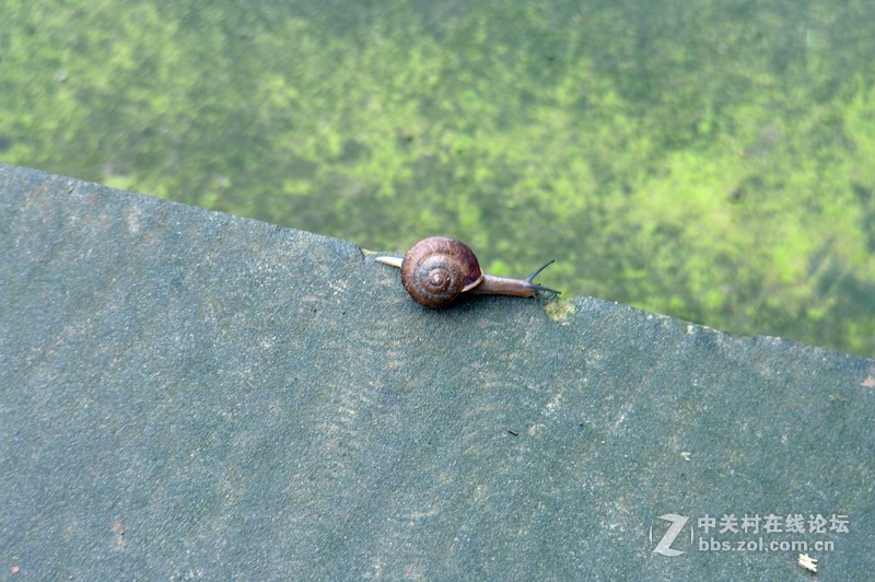 一个人的山 让心更静  (理光28-110 f2.8-f4)
