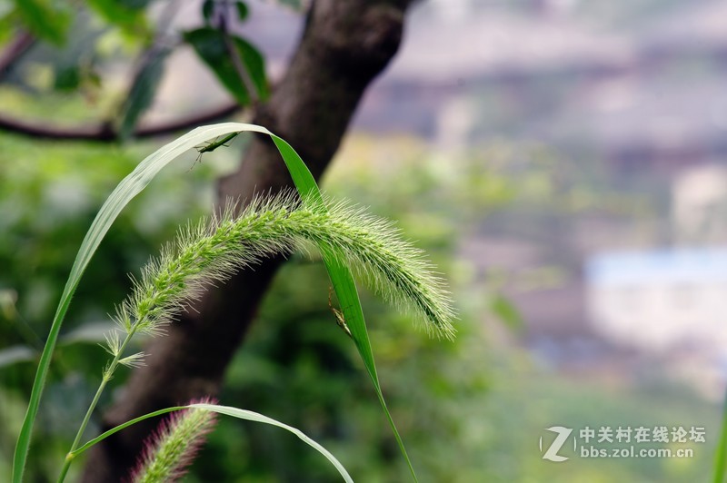 一个人的山 让心更静  (理光28-110 f2.8-f4)