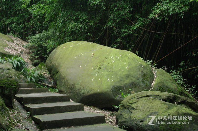一个人的山 让心更静  (理光28-110 f2.8-f4)