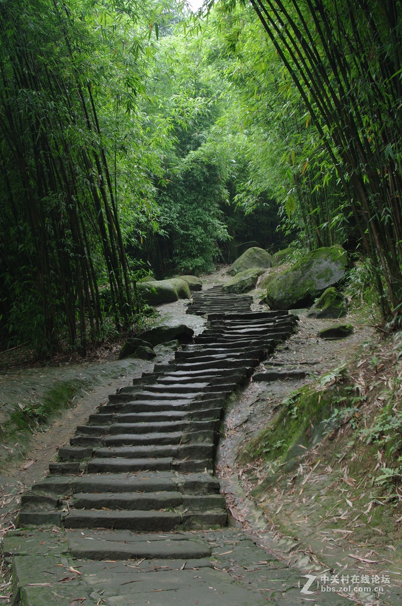 一个人的山 让心更静  (理光28-110 f2.8-f4)