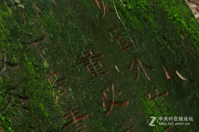 一个人的山 让心更静  (理光28-110 f2.8-f4)