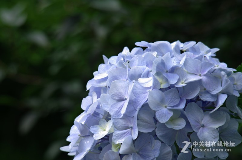 一个人的山 让心更静  (理光28-110 f2.8-f4)