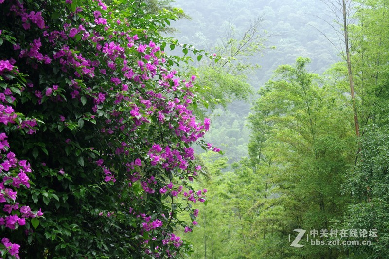 一个人的山 让心更静  (理光28-110 f2.8-f4)