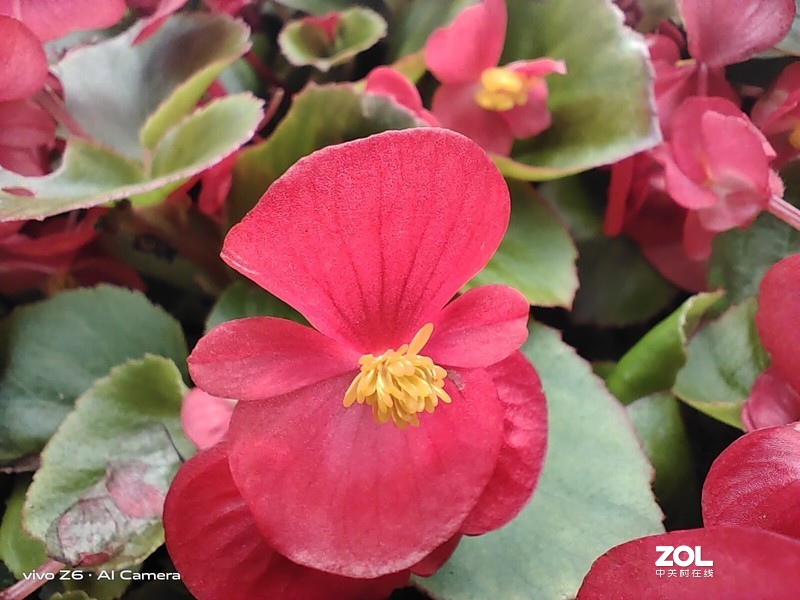 5G手机做到两千元，vivo z6颜值与性能兼具吗？