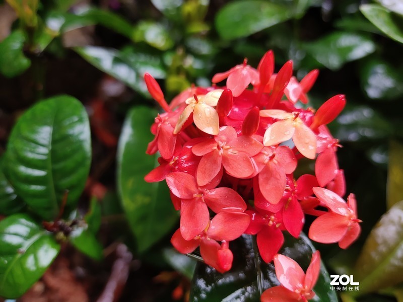 5G手机做到两千元，vivo z6颜值与性能兼具吗？