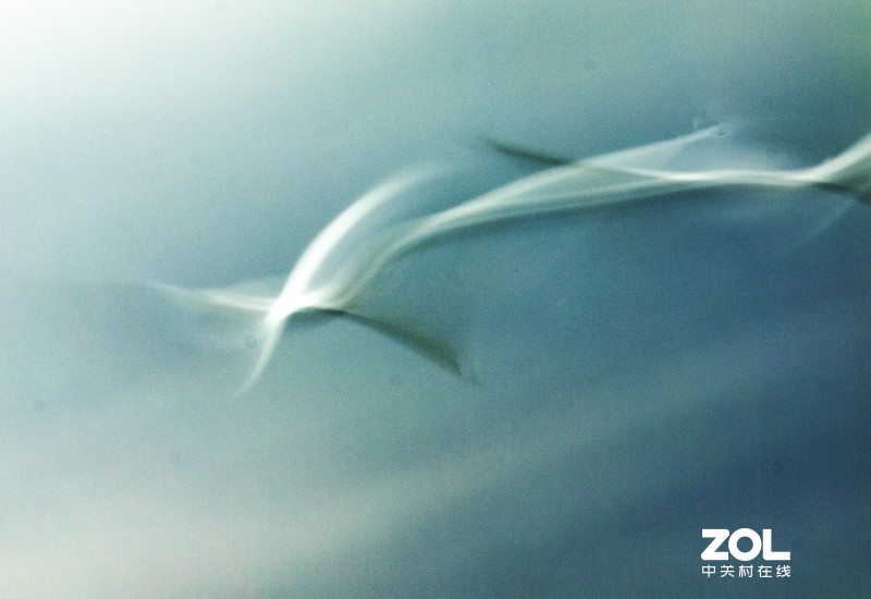 初试“飞鸟拉烟”拍摄