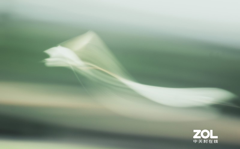 初试“飞鸟拉烟”拍摄