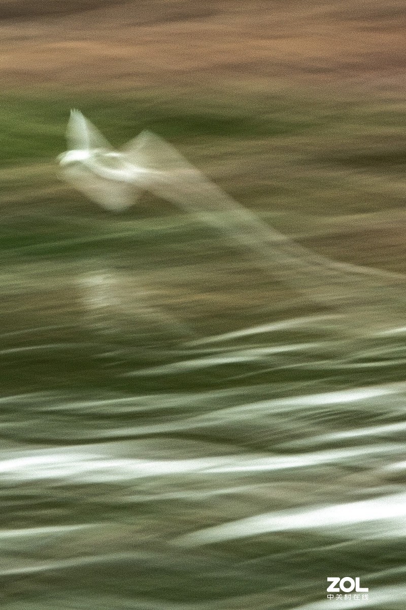 初试“飞鸟拉烟”拍摄