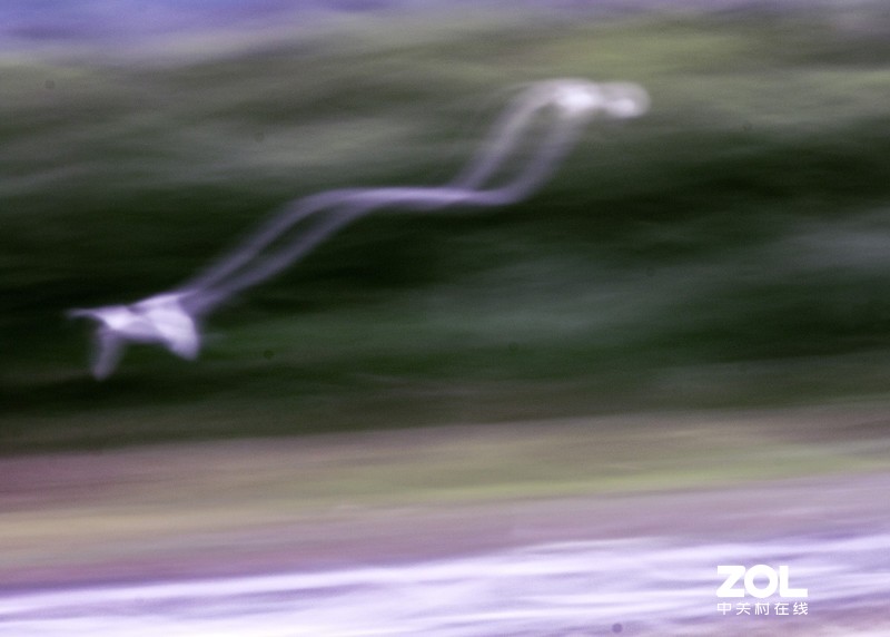 初试“飞鸟拉烟”拍摄