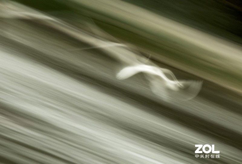 初试“飞鸟拉烟”拍摄