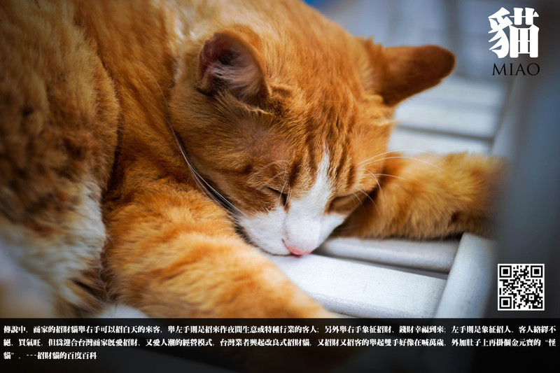 五道营的那些铺子和初夏小雨的国子监