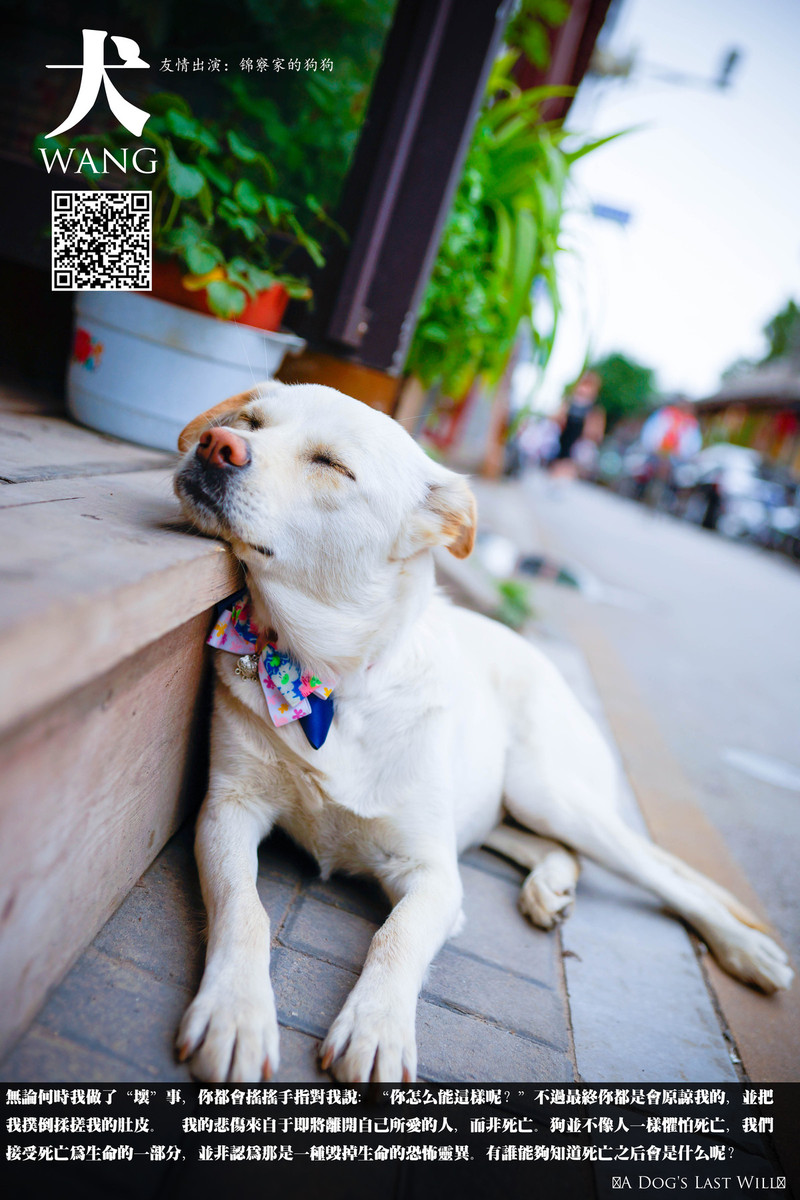 五道营的那些铺子和初夏小雨的国子监