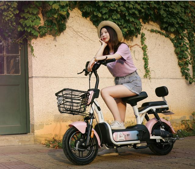 新国标电动车品牌应该怎么选？