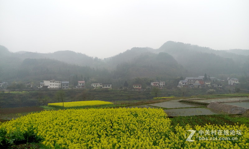 MX4：无主题随拍，有几张用美图裁剪，自动美化。